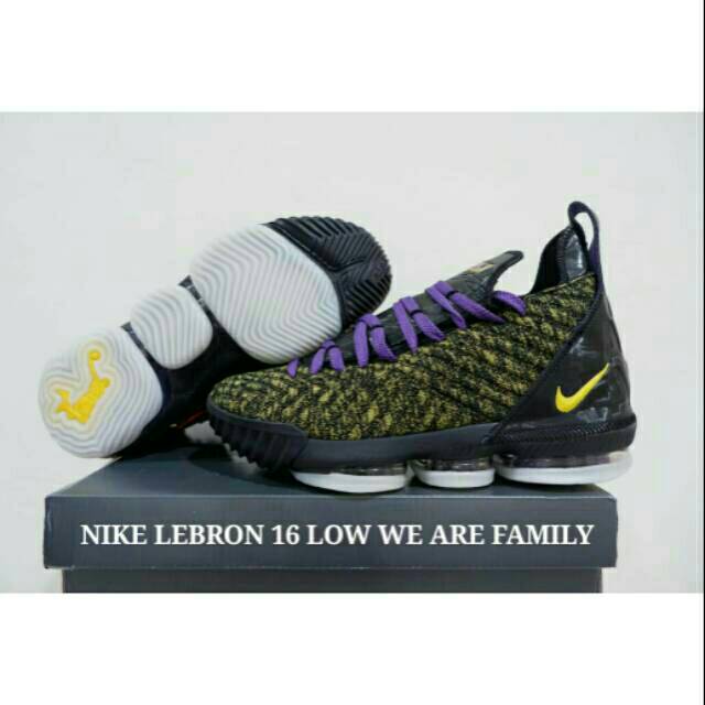 we are family lebron 16