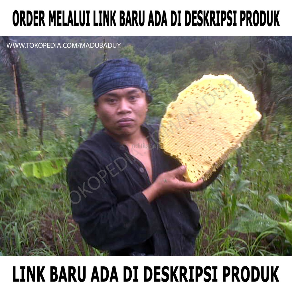 

Madu Hitam Asli dari Hutan Baduy. Botol Kaca 600ml tanpa Keranjang.