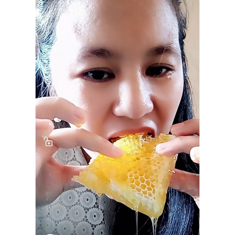 

MADU HUTAN MERY JANE ASLI, SARANG MADU (HONEY COMB) 500 GRAM, DIJAMIN 100% ASLI