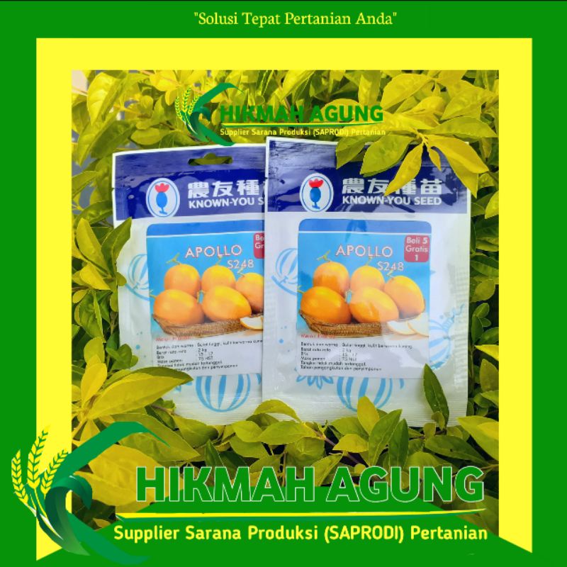 

Benih Bibit Melon Golden APOLLO 20gr