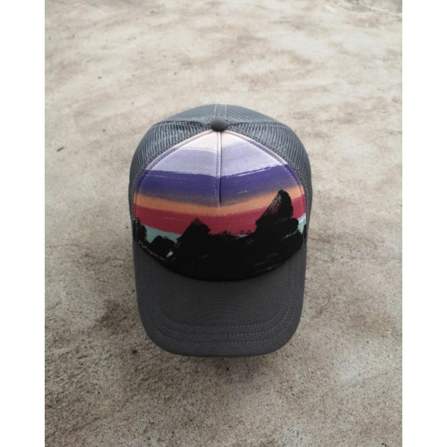 Patagonia Trucker Hat Original