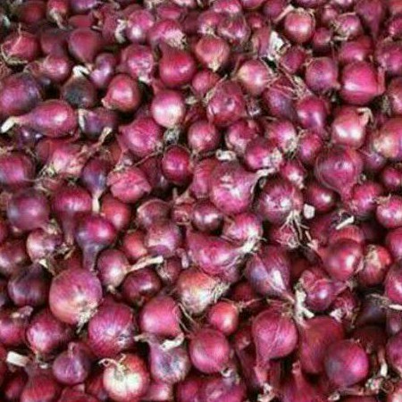 

BAWANG MERAH 100 gr BELUM KUPAS