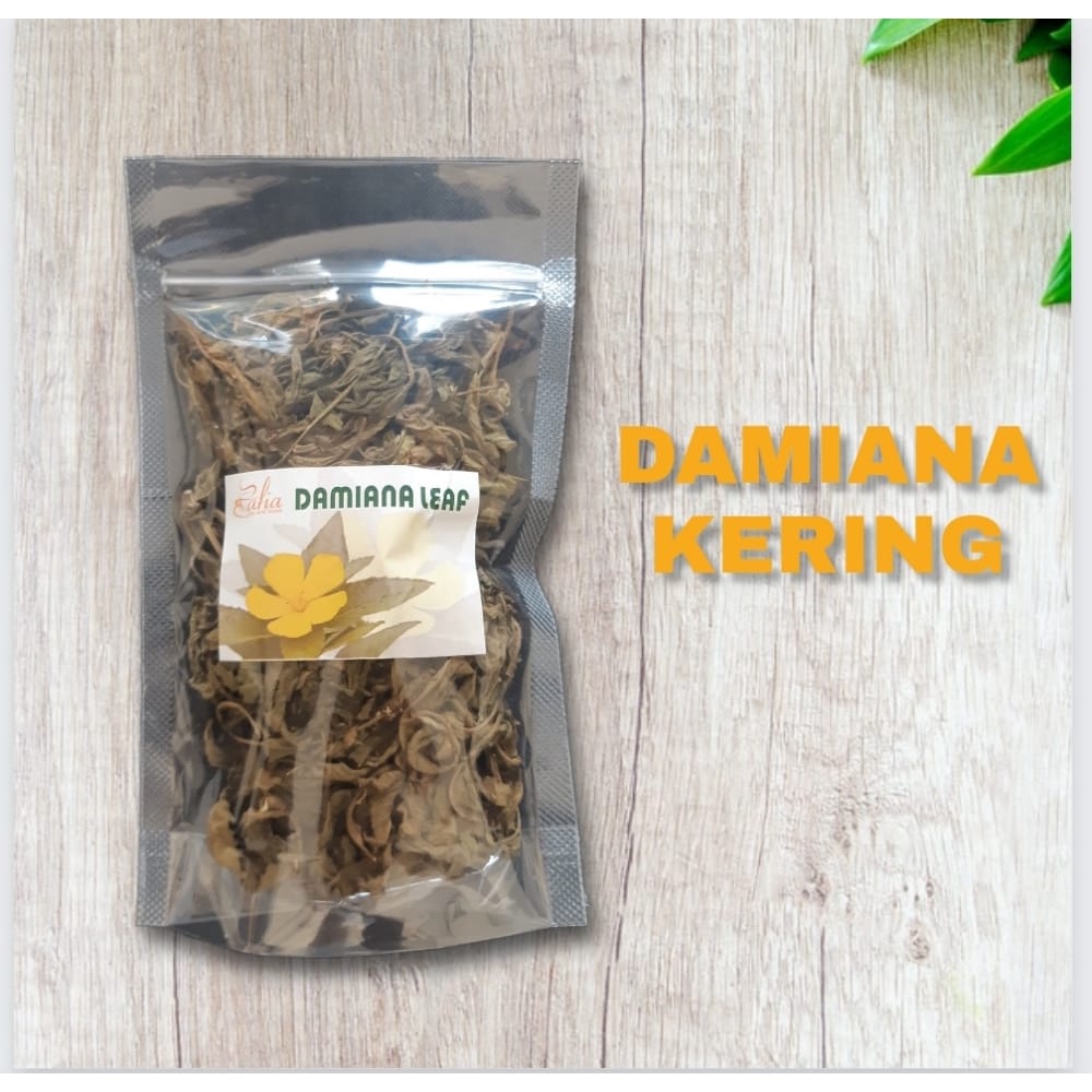 

Daun Damiana : Daun Kering Damiana Tanpa Tangkai