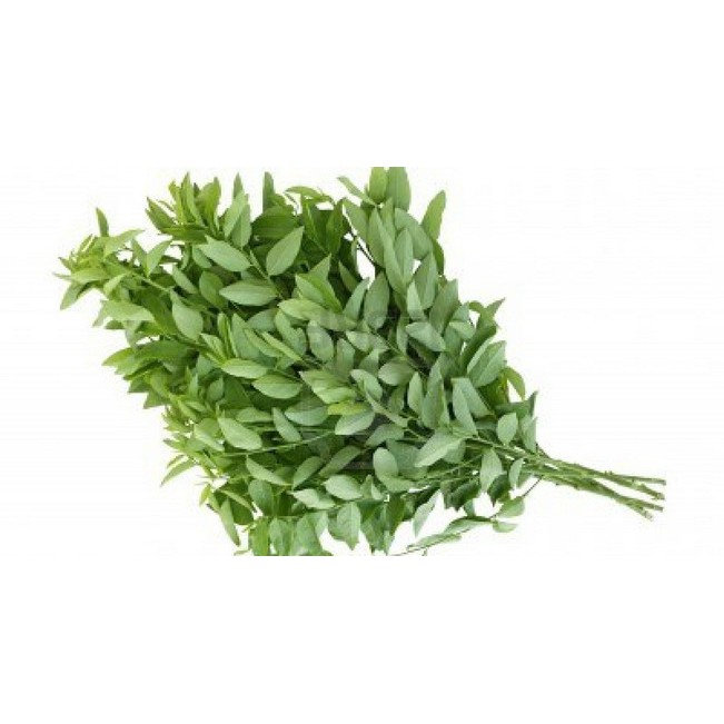 Sayur Daun Katuk 1 Ikat kurleb 300 g