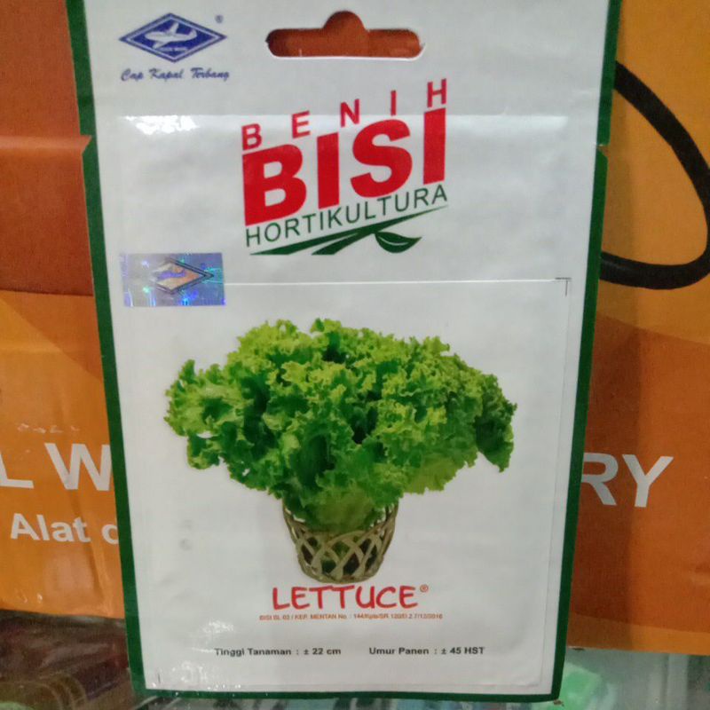 BENIH BISI LETTUCE ISI 3000 BIJI