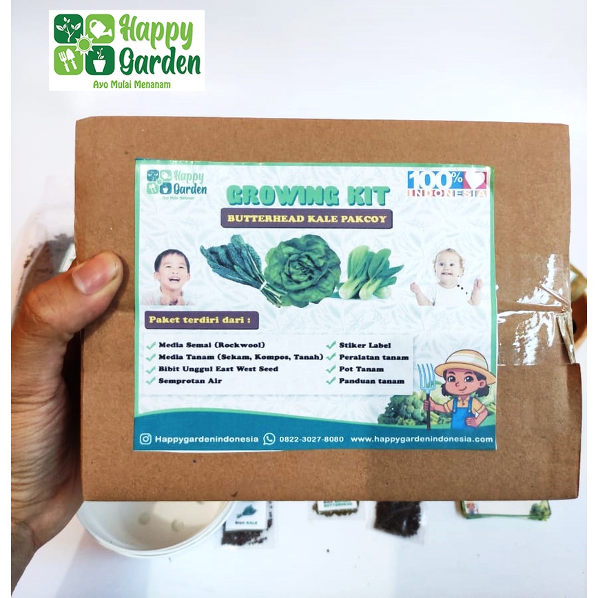 PAKET MENANAM ANAK GROWING KIT SELADA BUTTERHEAD ,KALE DAN POKCOY MAINAN ANAK