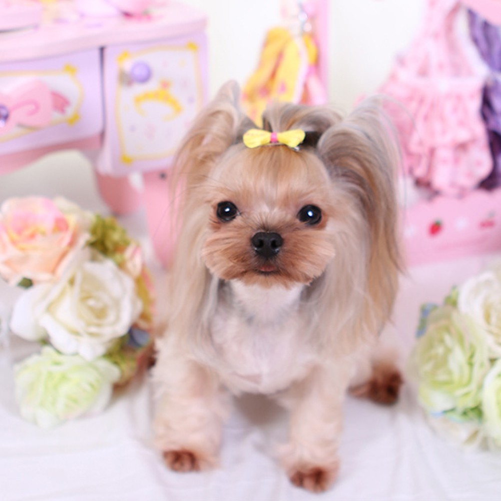 Jepit Rambut Bentuk Pita Motif Kartun Bunga Warna-Warni Untuk Anjing Dan Kucing Peliharaan