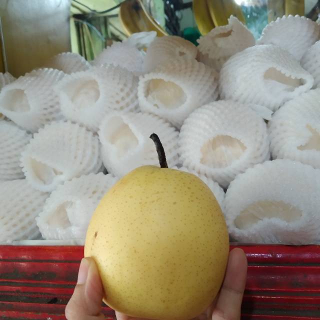 

Pear Century manis banyak air