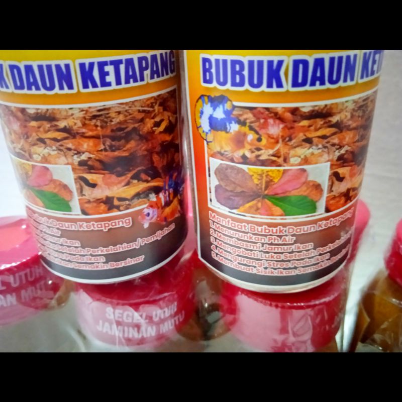 BUBUK DAUN KETAPANG