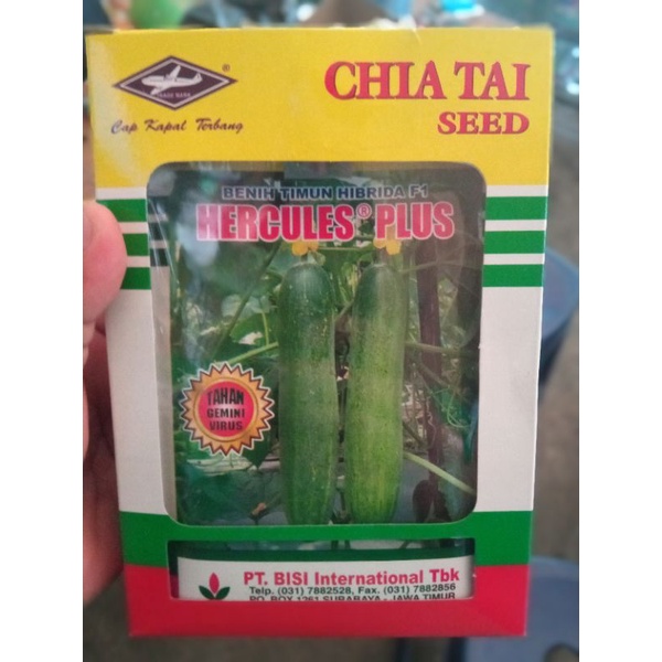 Benih Timun Hercules 20gr