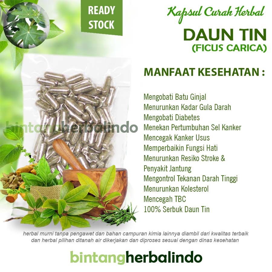Kapsul Curah Herbal DAUN TIN 200x600 mg Tulang Kolesterol Nafsu Makan Diet