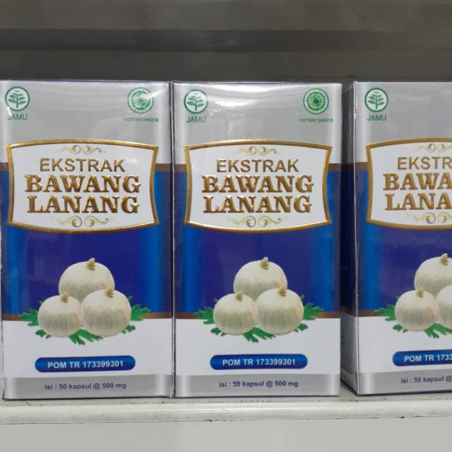 

Extrak Bawang lanang utk hipertensi dan kolesterol