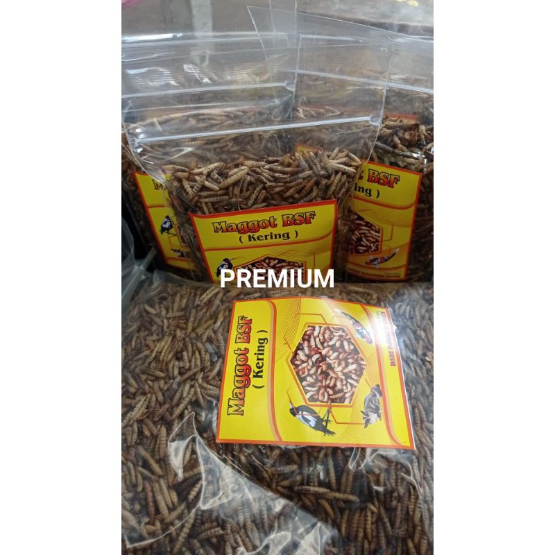 MAGGOT MAGOT KERING PREMIUM(PAKE MESIN) 1KG