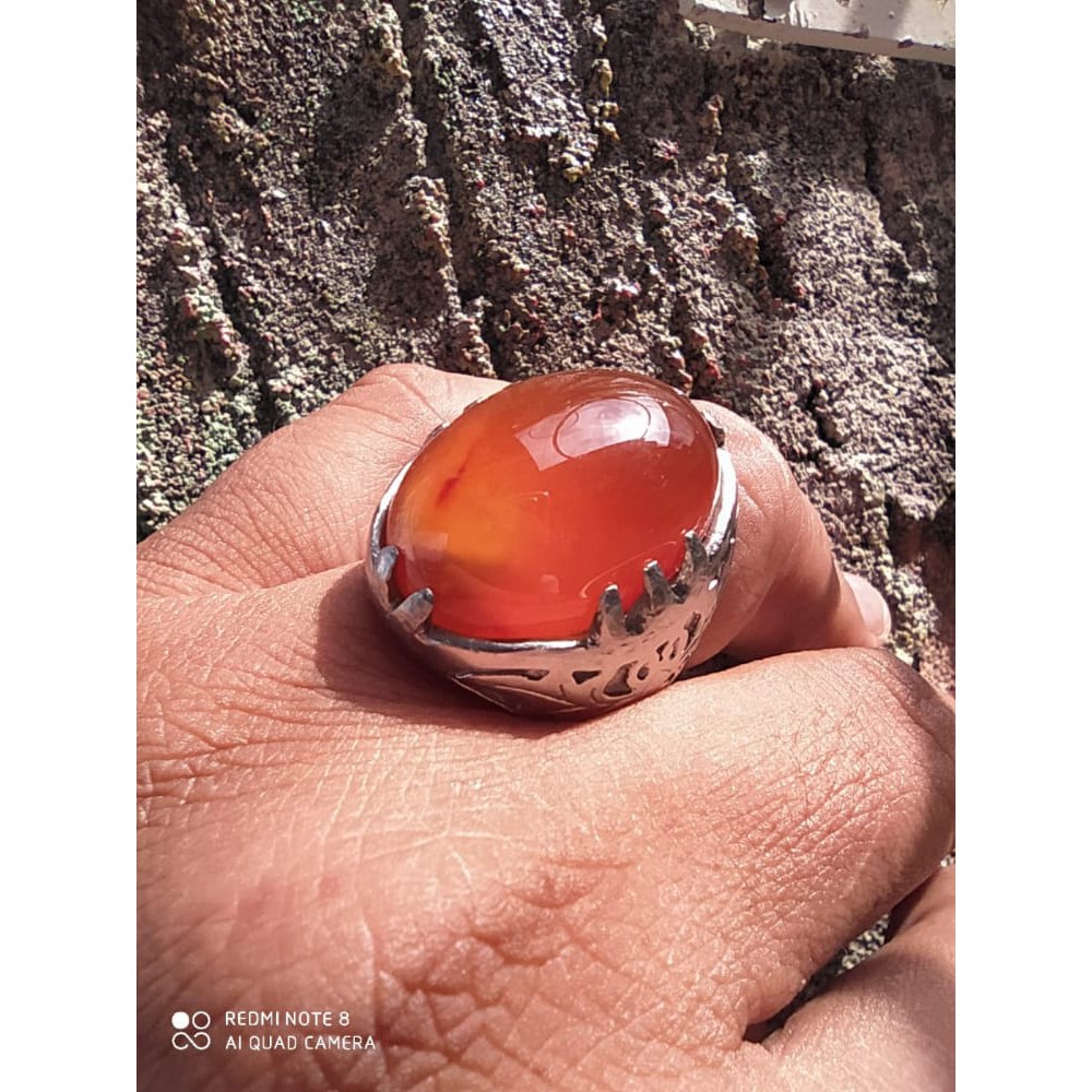 Cempaka madu combong, Aceh natural, combong, big size