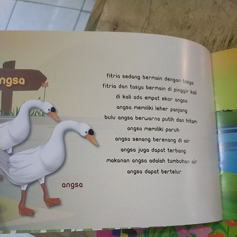 ORI buku TK paud aku tahu hewan unggas penerbit mediantara