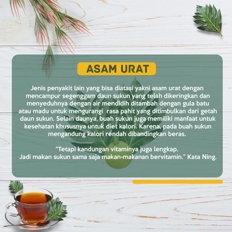 Teh Daun Sukun Premium Laasyaka Teh daun sukun ginjal Teh daun sukun gula darah