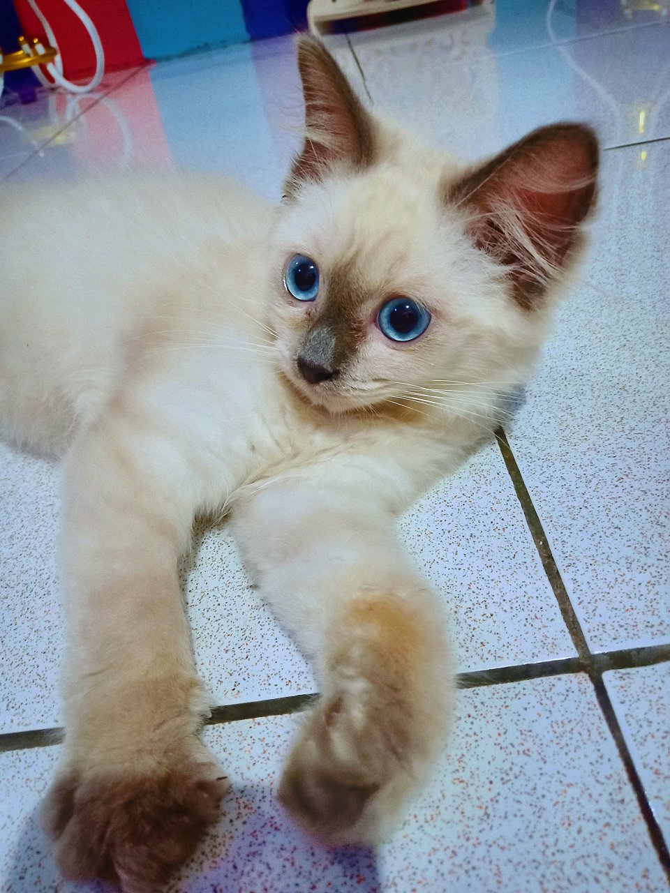 Hiasandinding/bunga/walldekor/dekorasi/decor/dua/poster/picture/quotes/quran/islam/muslim/allah/