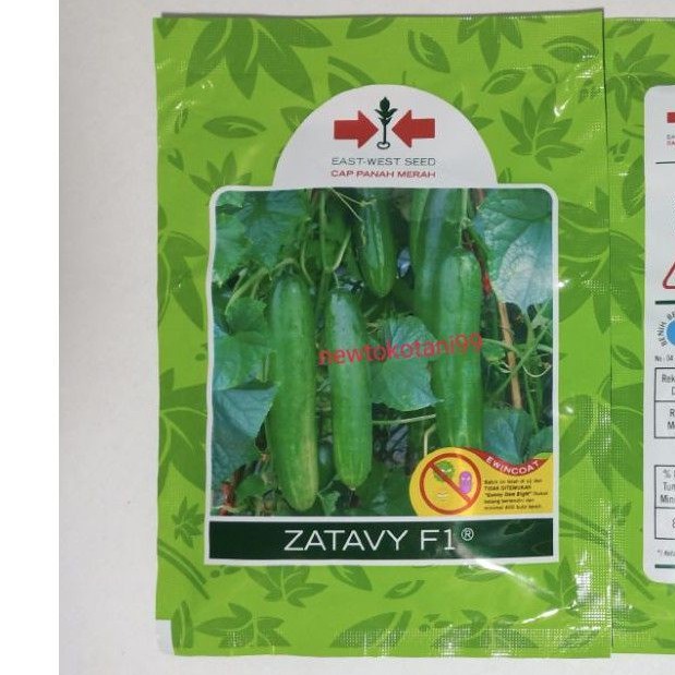 Benih timun hijau ZATAVY F1 800 butir panah merah ketimun hibrida tahan virus gemini biji ketimun