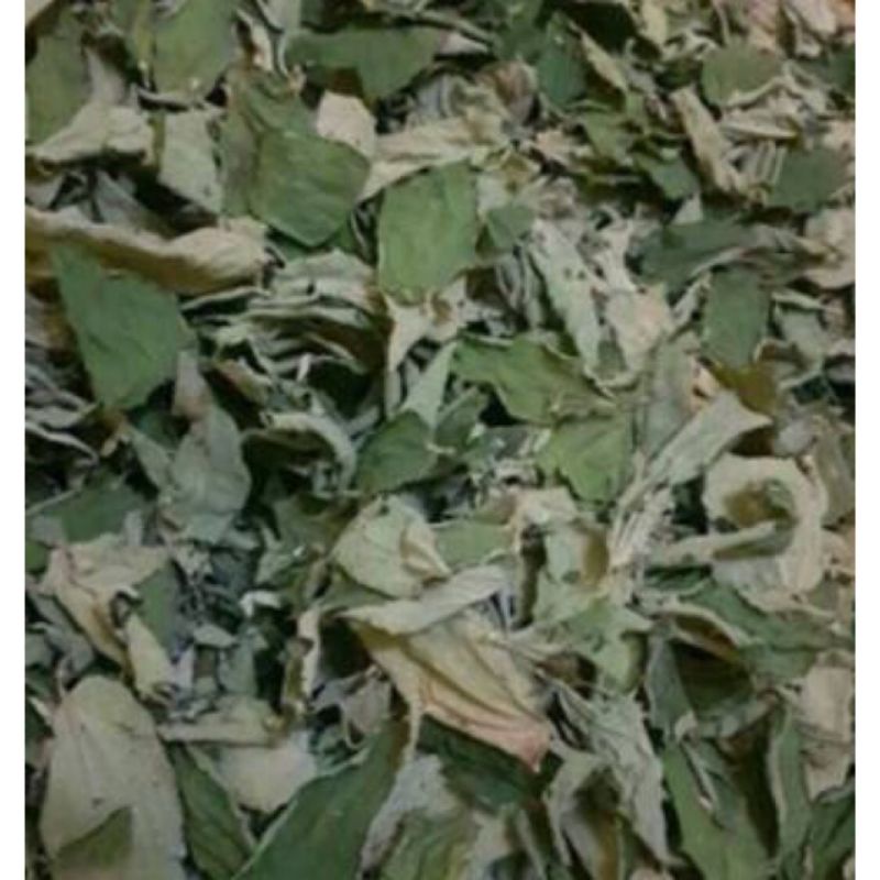 

DAUN KERSEN KERING
