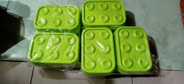 Tempat Telur Isi 6 Golden Sunkist