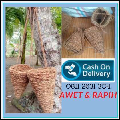 Pot Sabut Kelapa Anggrek Gantung Untuk Tanaman Anggrek TERBAIK