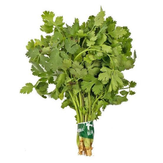 

Daun Wansui / Coriander / Daun Ketumbar Segar100 grm