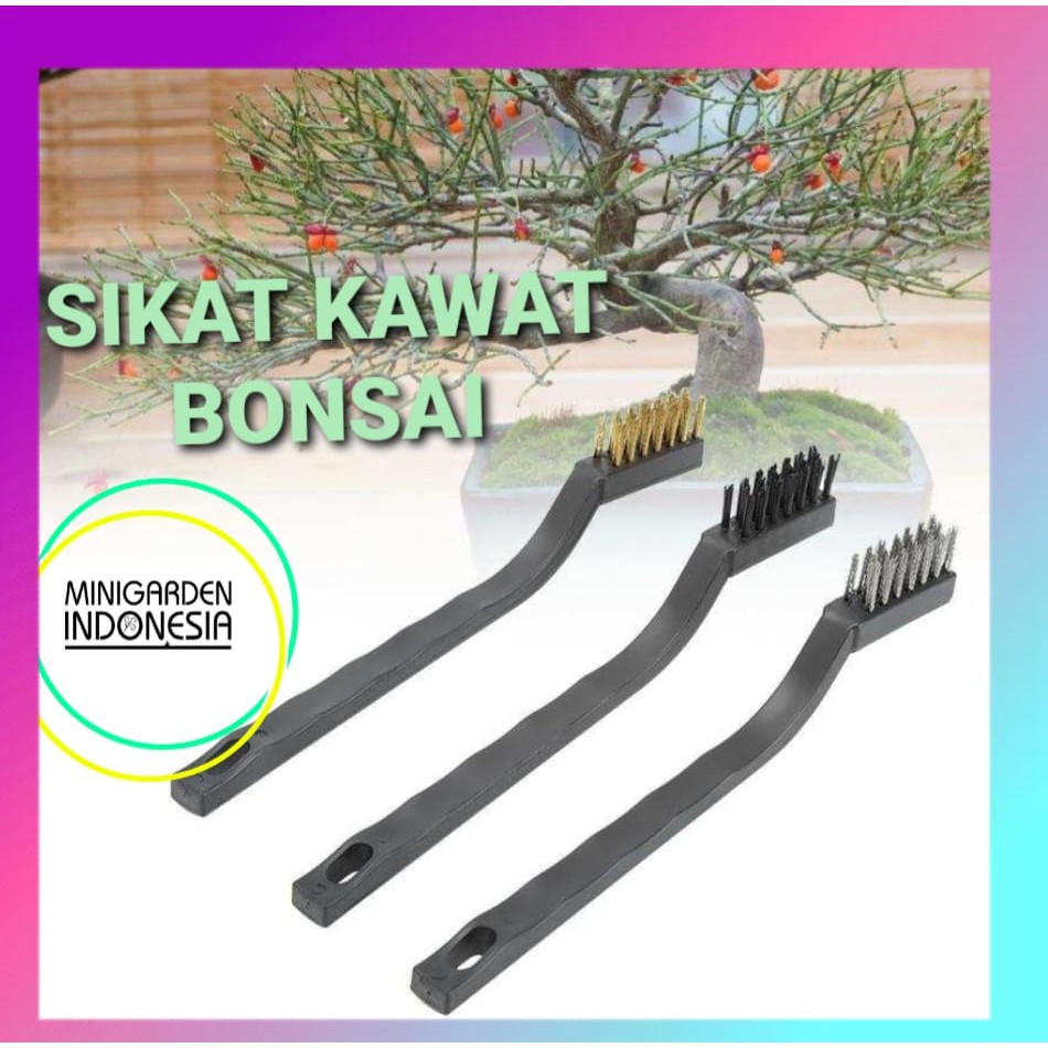 SIKAT BONSAI kuas kawat bengkok Pembersih Kerak Lumut Batang Tanaman kuningan nylon pembersih mesin