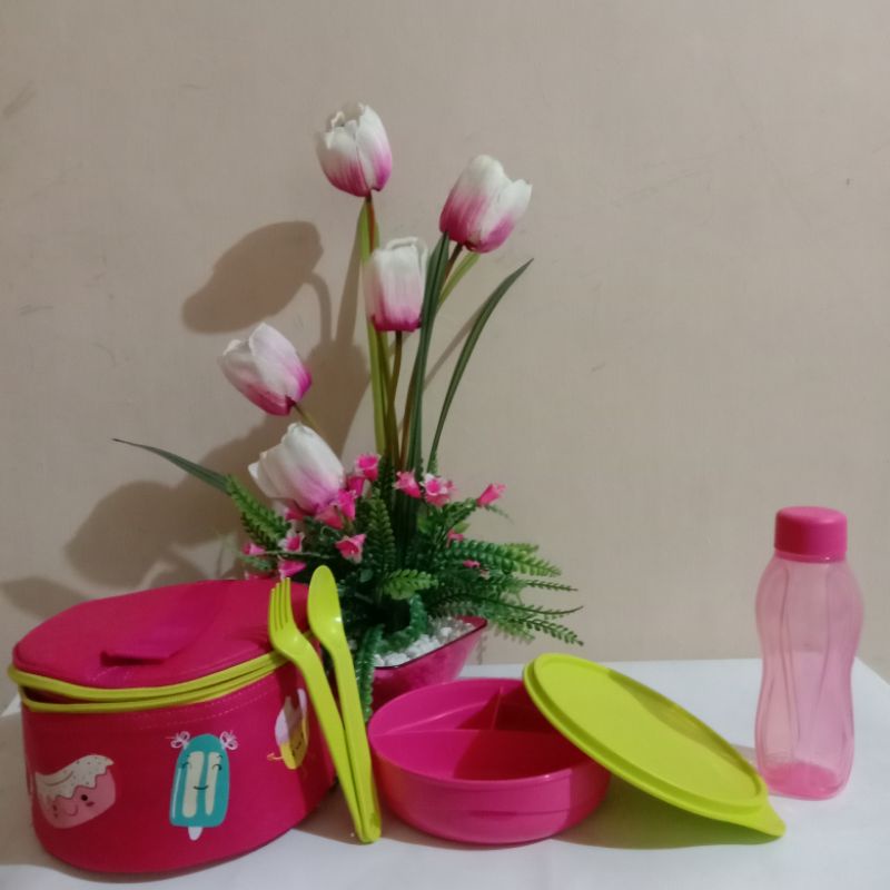 

lunchbox pinksweety and blueyummy