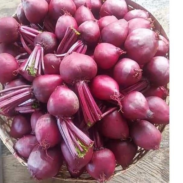 

⭐Promo Terbatas Buah Bit/Beetroot Fresh Kualitas super 1kg | TERPOPULER | VIRAL | TIKTOK