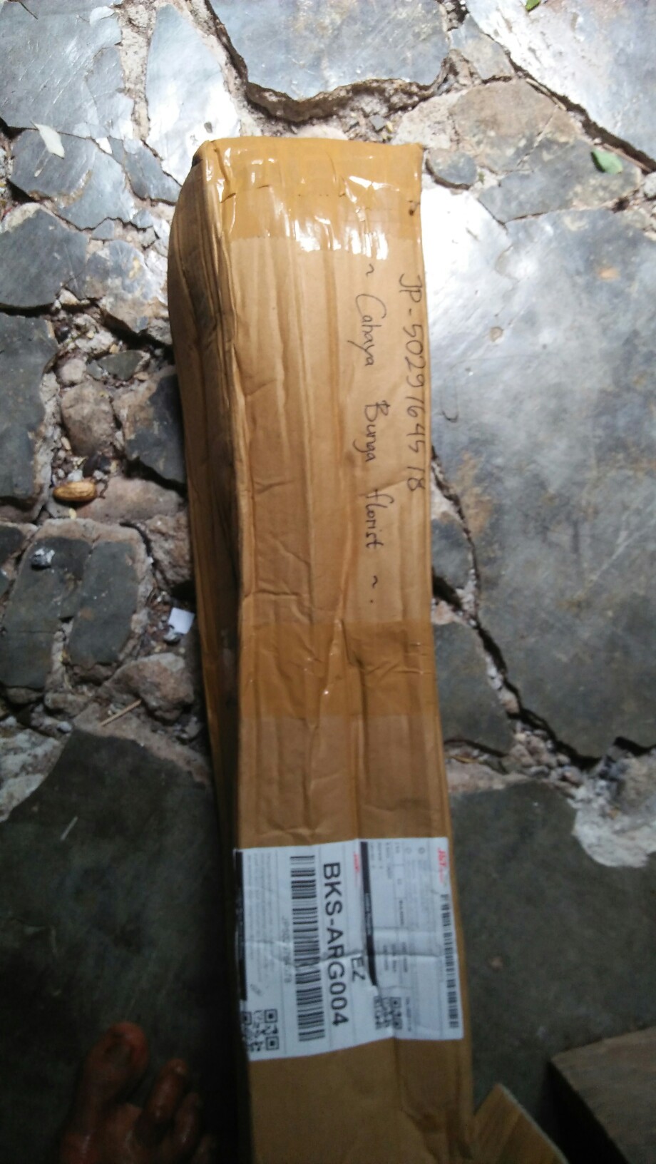 Tanaman Hias Bunga Mawar 20 Pcs - Bunga Mawar - Bibit Tanaman Bunga Mawar Berbunga