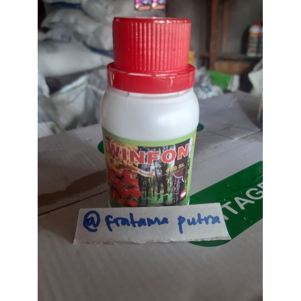 Pematang buah WINFON 100 ml