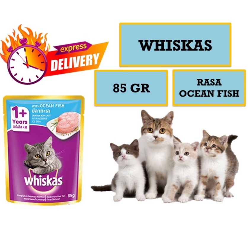 Makanan Kucing Whiskas Basah Ocean Fish 85 gr Whiskas Pouch Sachet 85gr makanan kucing basah whiskas