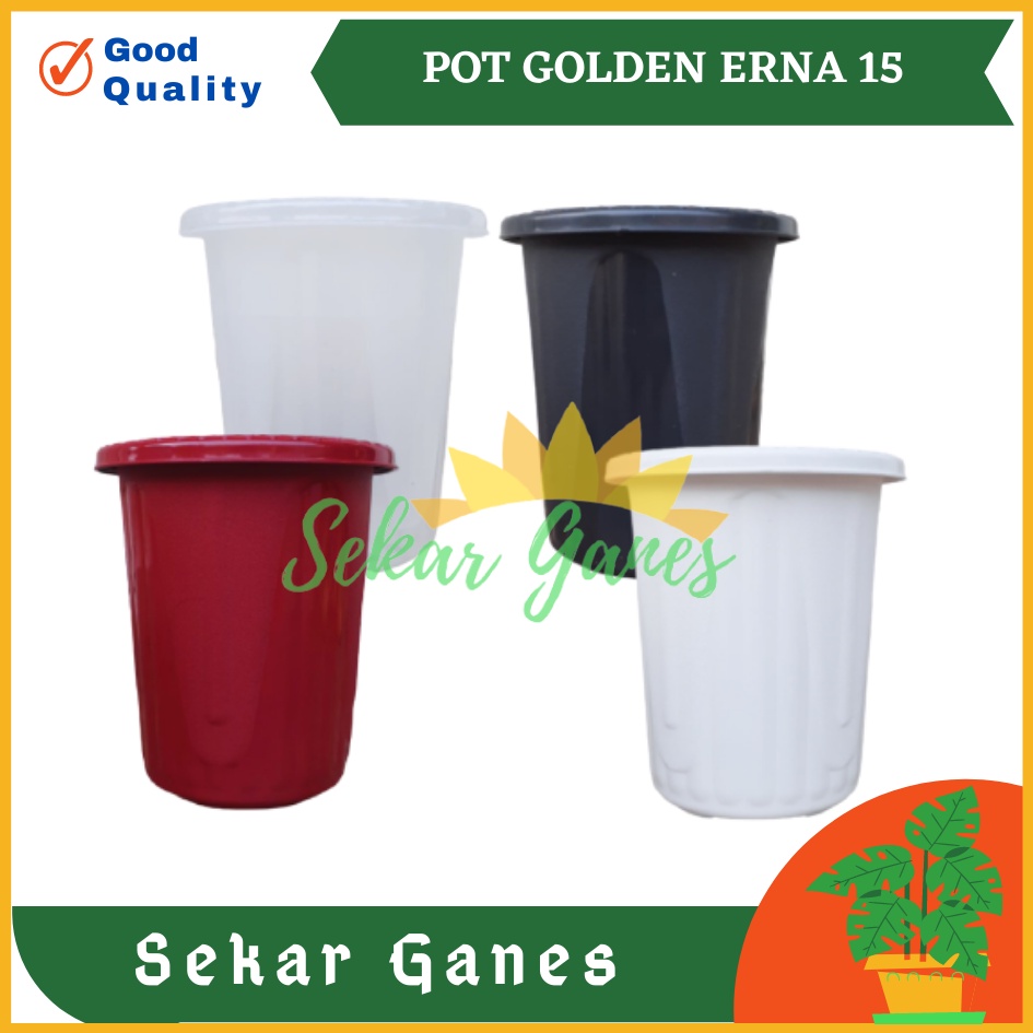 Pot GE15 Golden Erna 15 Putih Bening Transparan Hitam Merah Bata Coklat Terracota Terracotta Garden Of Love Mirip Pot Yogap Ypt 10 13 15 Putih Coklat Merah Bata Bening Transparan Pot Yogap 17 18 19 Pot Yogap Murah Pot Bunga Tinggi Pirus Tegak Bagus Tebal