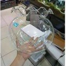 Aquarium kaca bulat 4 liter