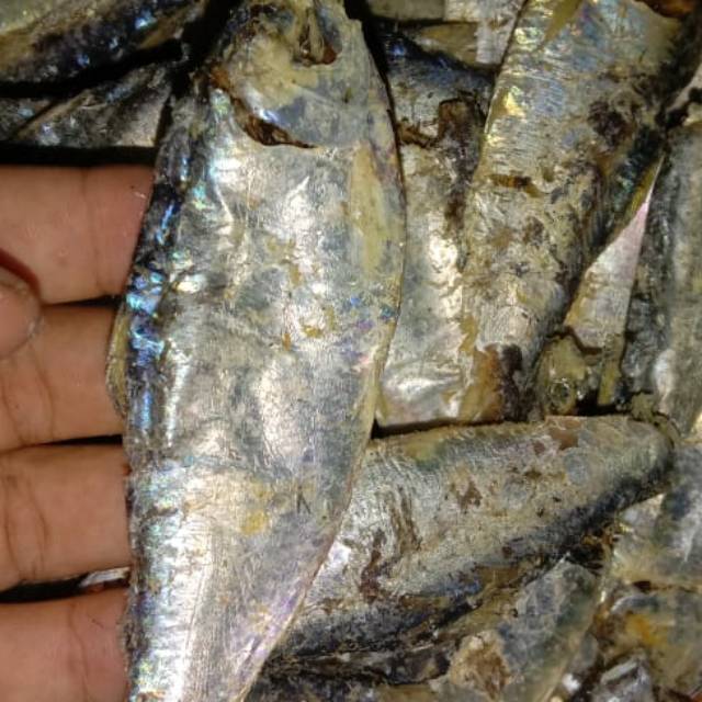 

Ikan sepo/ campur tawar isi 500 Gram