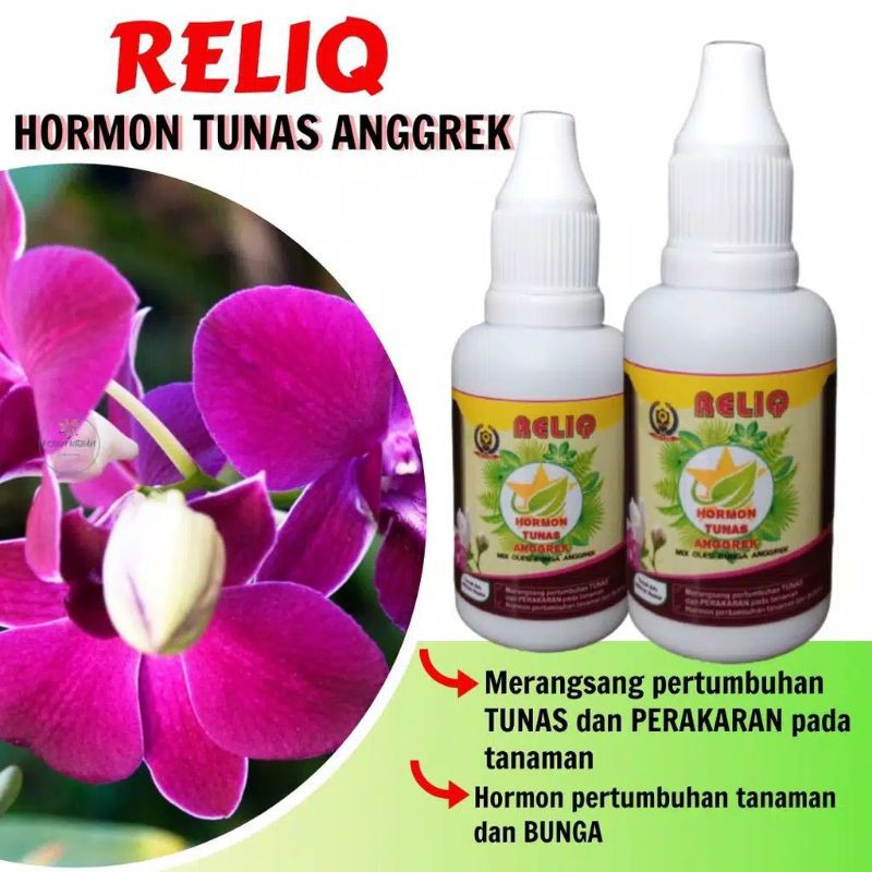 Serum Reliq perangsang tunas dan akar untuk anggrek