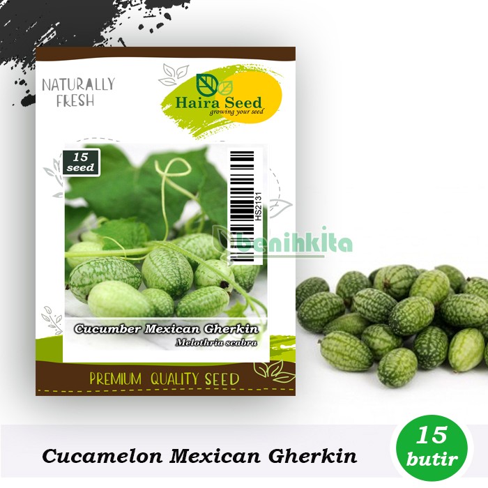 Benih-Bibit Cucamelon Mexican Gherkin (Haira Seed)