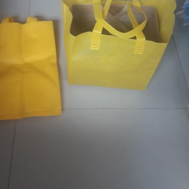 

12pcs Tas Kain Spunbond HLS Box nas / Tas Kain Goodiebag Hls dus nasi 12pcs / kotak nasi