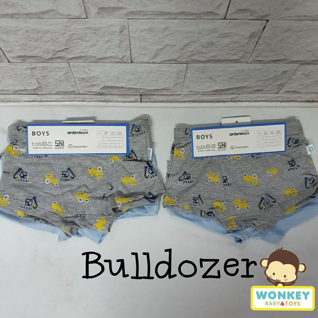 Ardenleon (2 pcs) Boxer Anak Laki-laki Motif