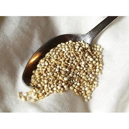 

HGs Organic White Quinoa 1 kg Peru grosir