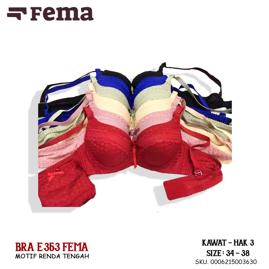 FEMA Official Shop Ecer 1 pcs Bh Bra E363 Motif Renda Tengah Import