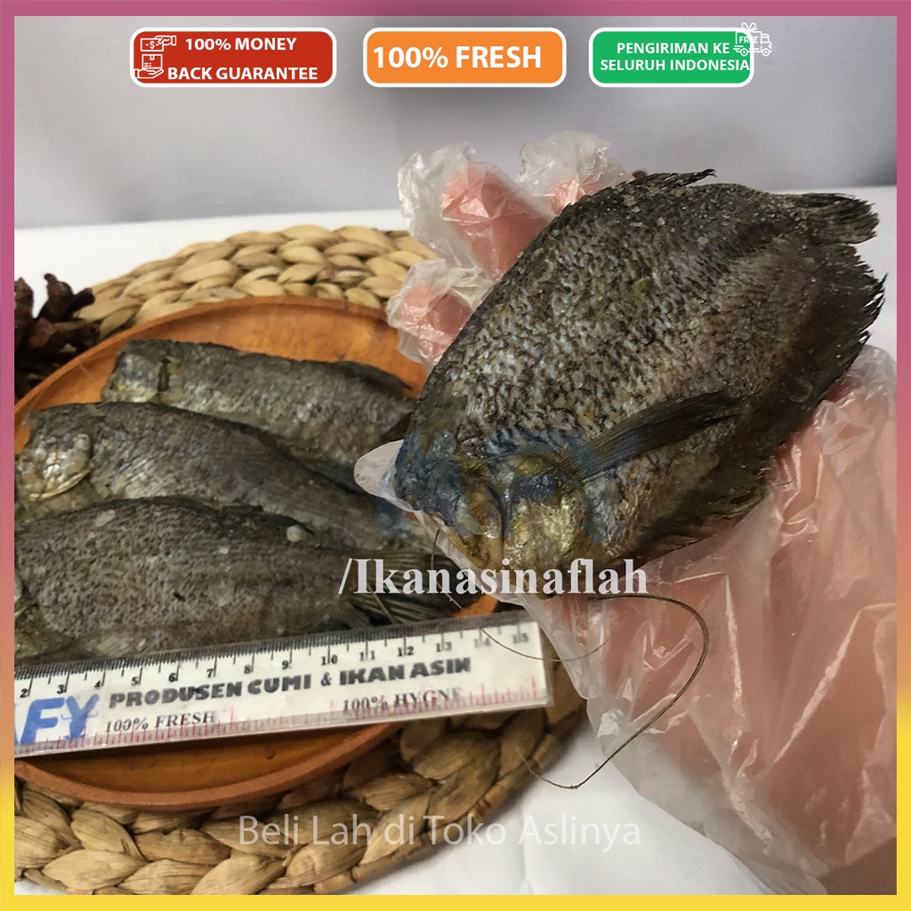 

PROMO Ikan Asin Sepat Jumbo / Besar 1Kg & 500Gr / Ikan Sepat / Tembakang Mentah Jakarta Siap Masak