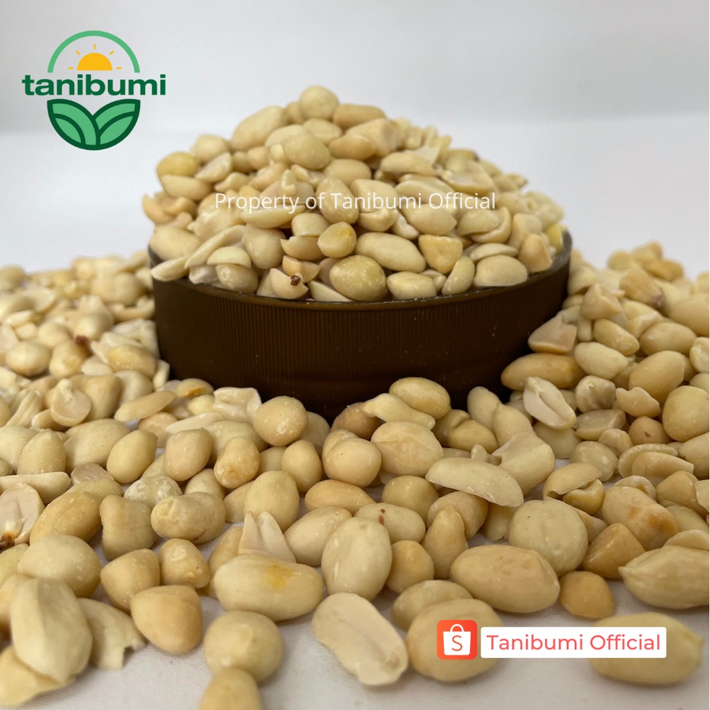 Grosir Kacang Tanah Kupas 61/71 | 1kg | Impor Bersih Mentah Premium