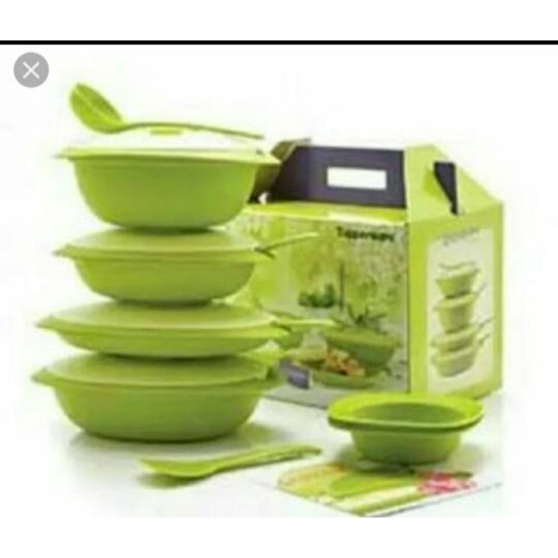blossom Tupperware(ecer)