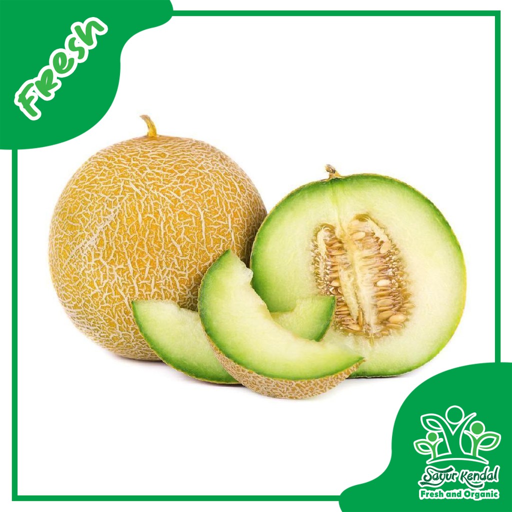

Melon Hijau - Sayur Kendal