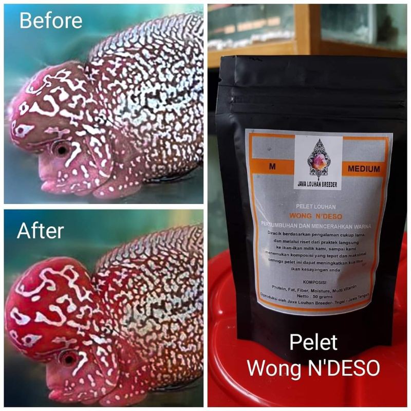 Pelet Louhan Wong N'DESO 50 gram Size S
