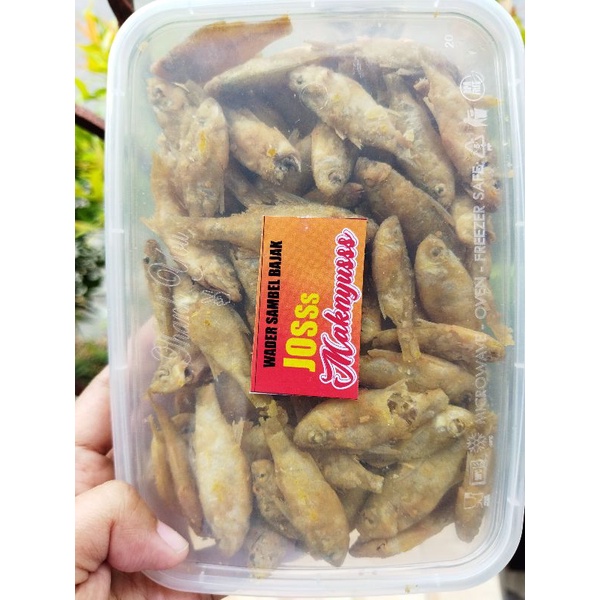 

WADER KRISPI SEPAKET DENGAN SAMBAL BAJAK 230GR