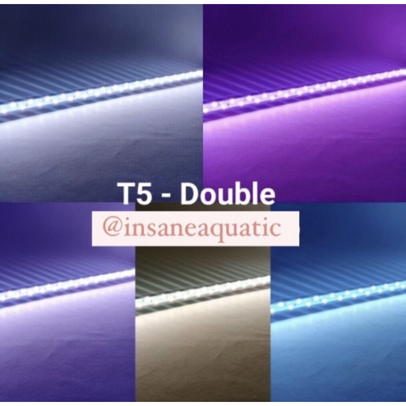 lampu aquarium aquascape led tanning double arwana T5 600 sakkai pro