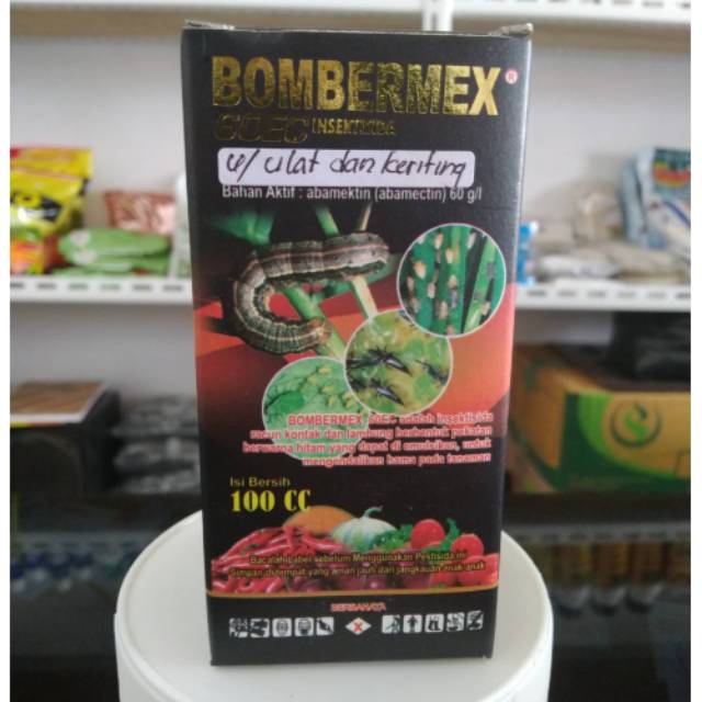 Bombermex 60 ec insektisida ampuh