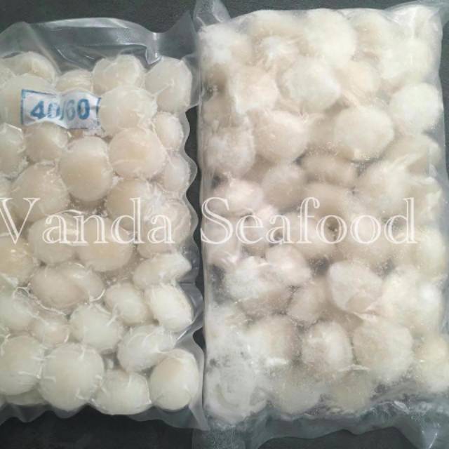 

Scallop Lokal Frozen 40-60